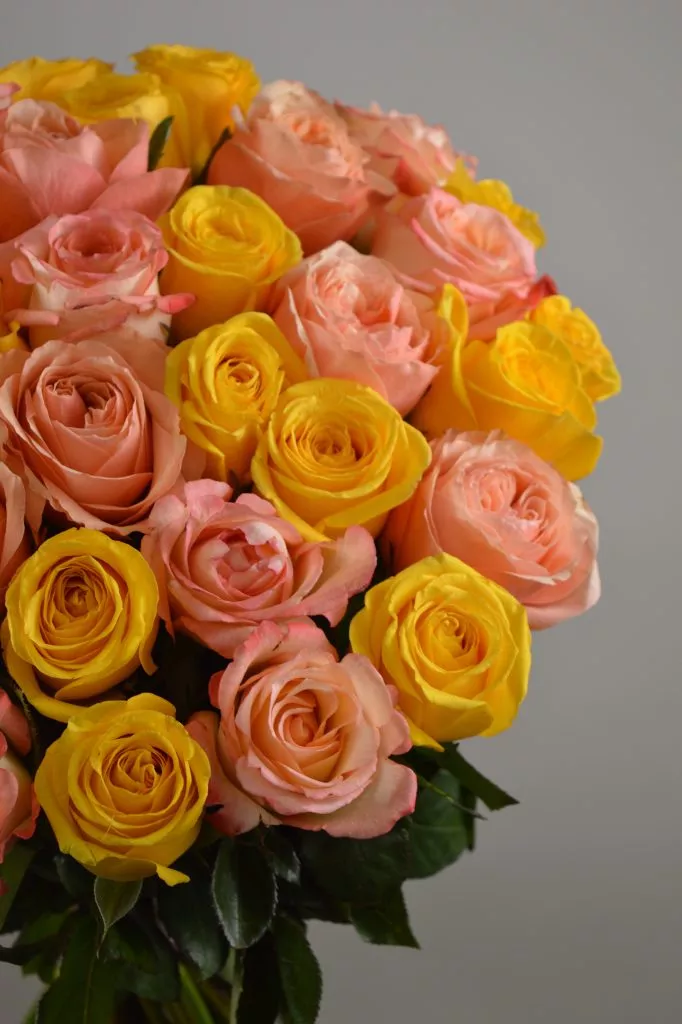 Микс розово-жёлтых роз Эквадор 35 шт