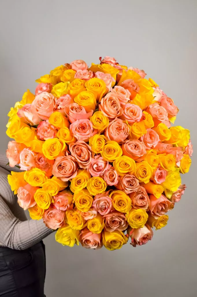 Розово-желтые розы Эквадор 101 шт