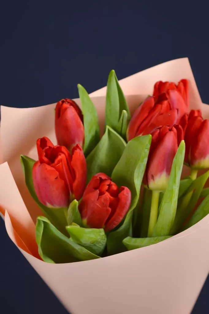 7 красных тюльпанов в упаковке