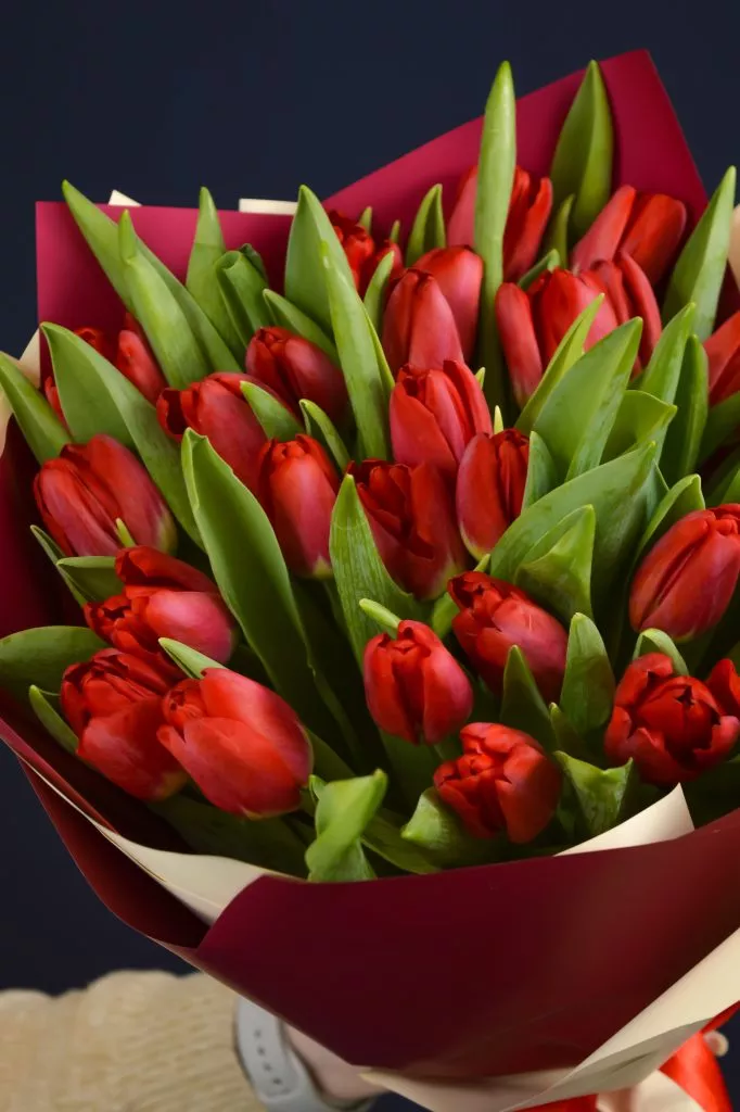 25 красных тюльпанов