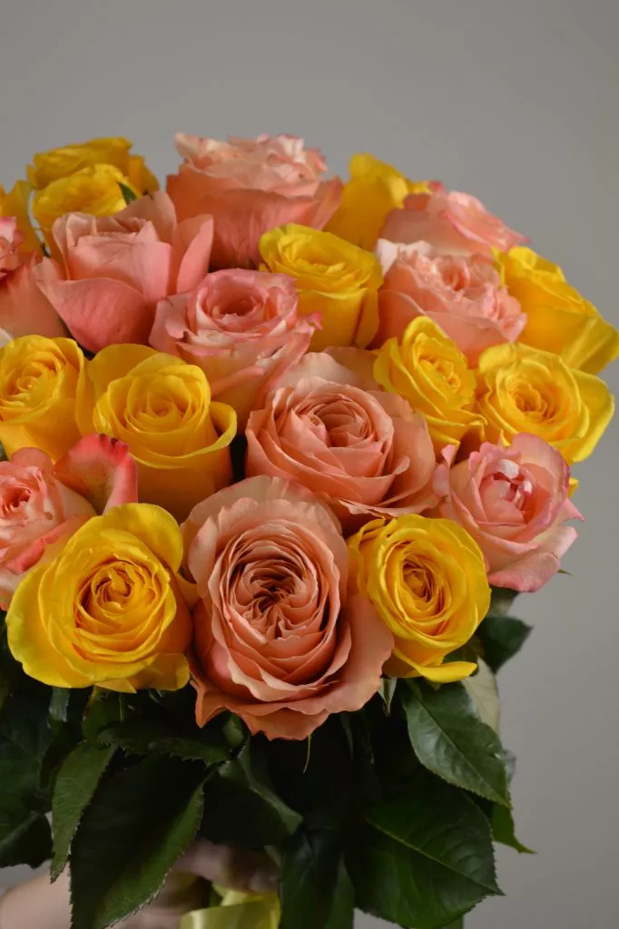 25 роз розово-желтых