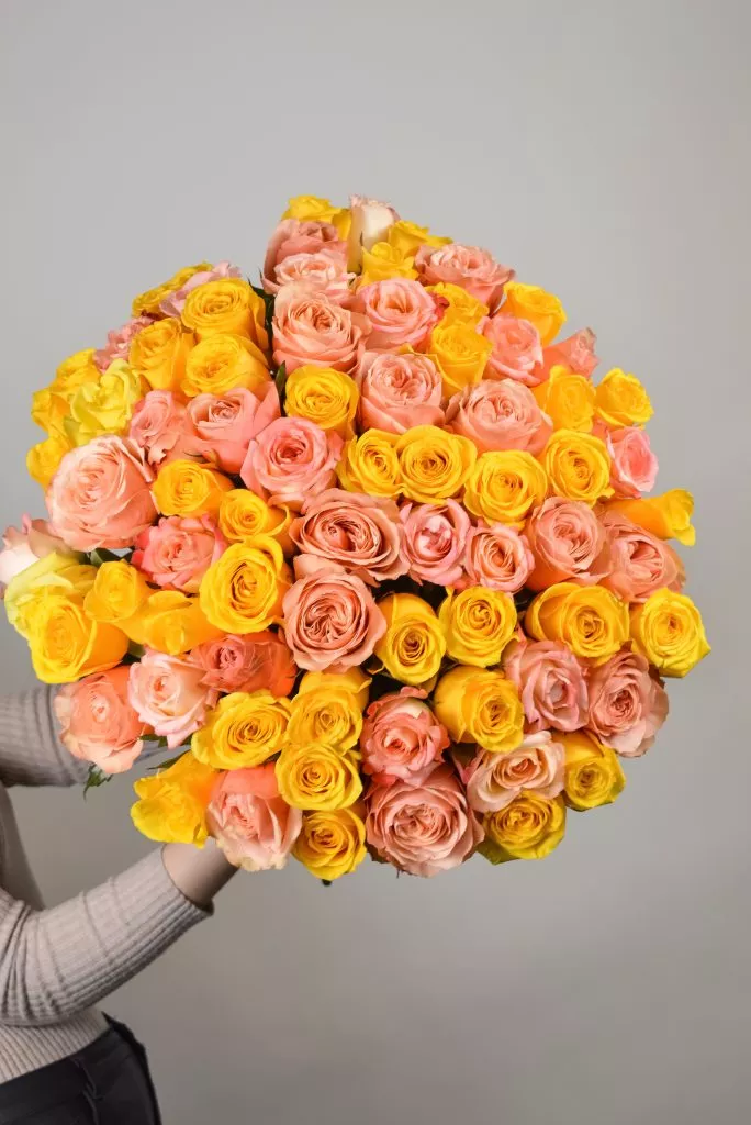 Розово-желтые розы Эквадор 75 шт