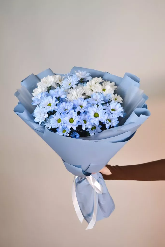 7 голубых хризантем кустовых