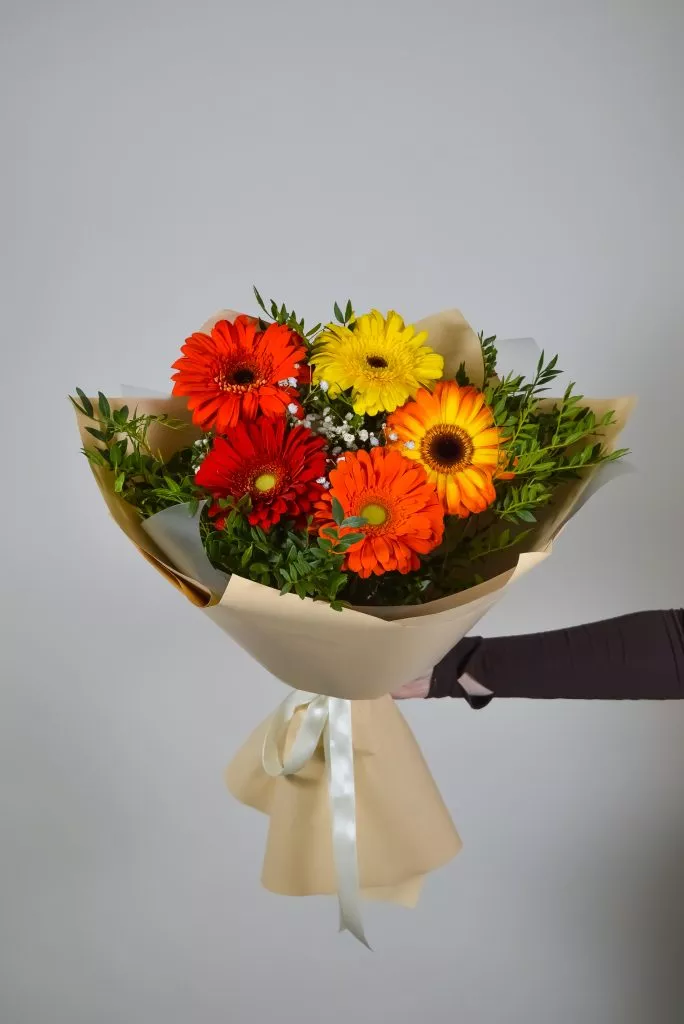 5 разноцветных гербер, 2 фисташки , бежевая упаковка