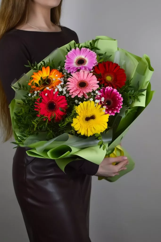 7 разноцветных гербер в зеленой упаковке