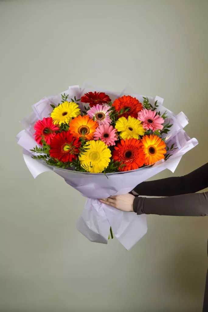 15 разноцветных гербер в сиреневой упаковке