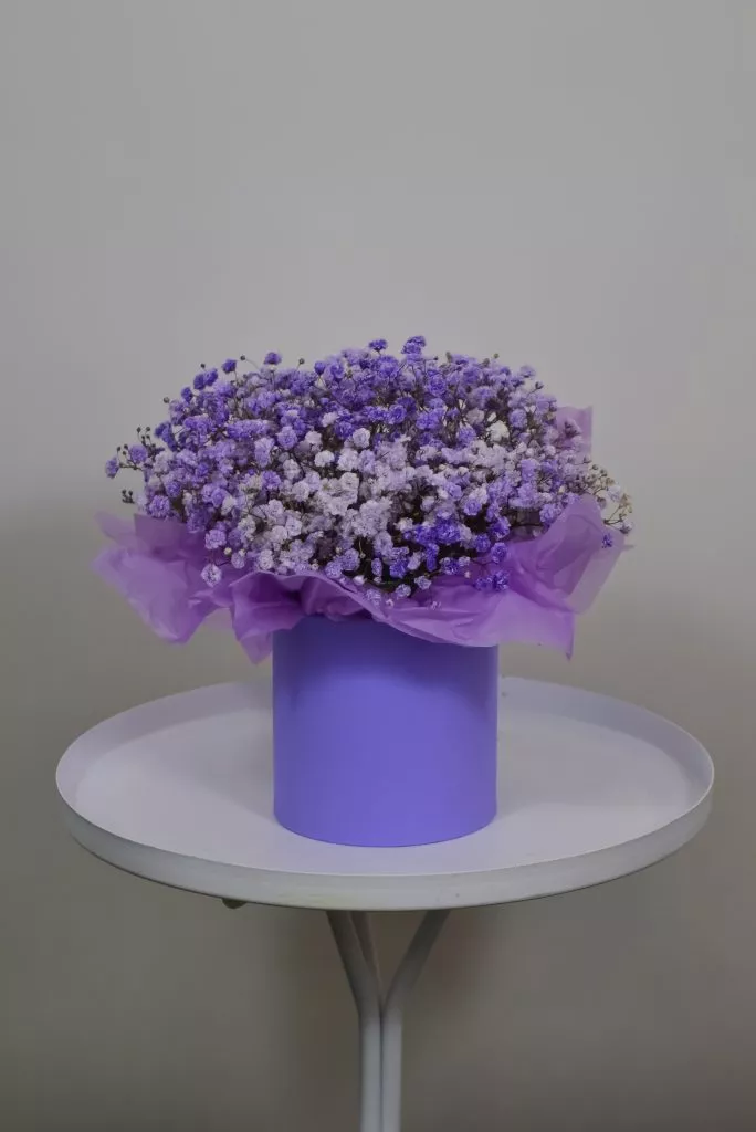 Коробка сиреневых гипсофил
