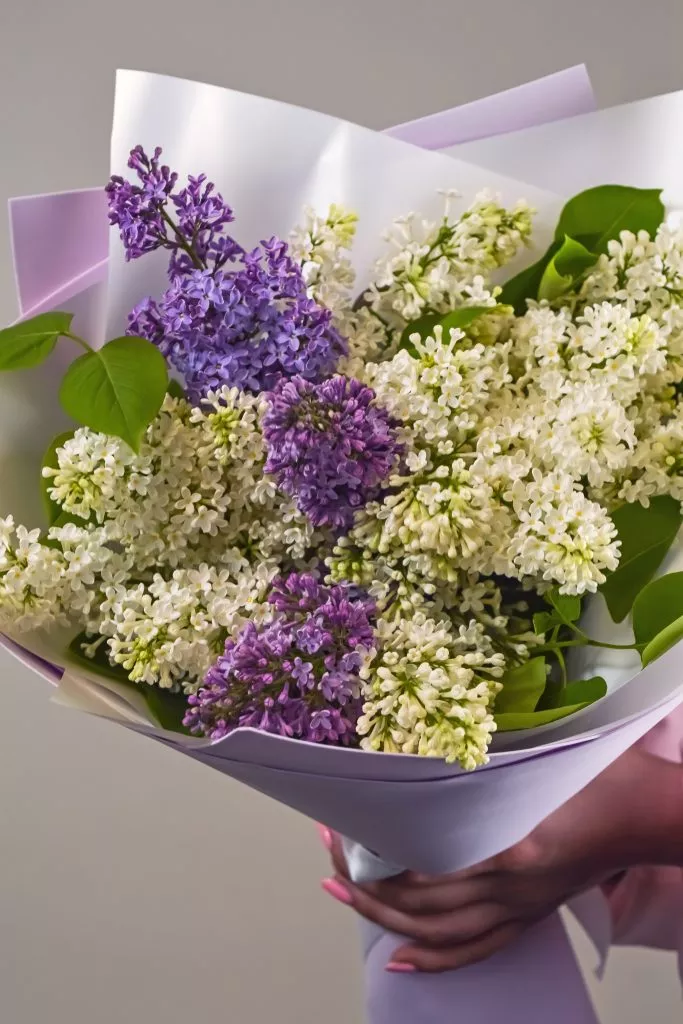 букет сирени