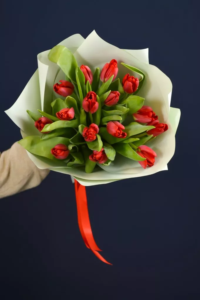 15 красных тюльпанов