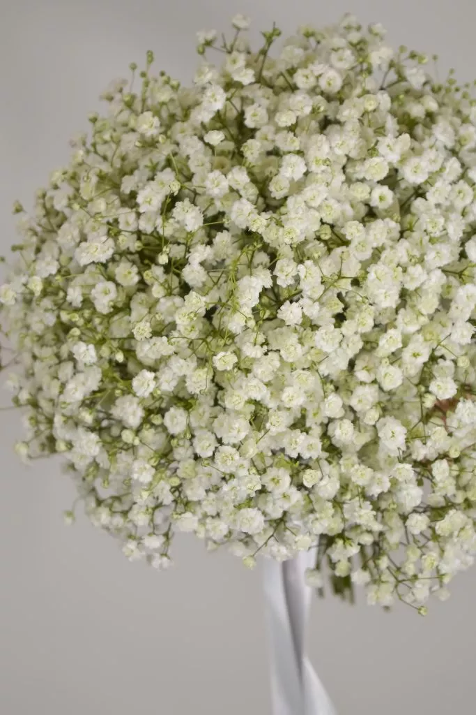 Букет невесты, гипсофилы