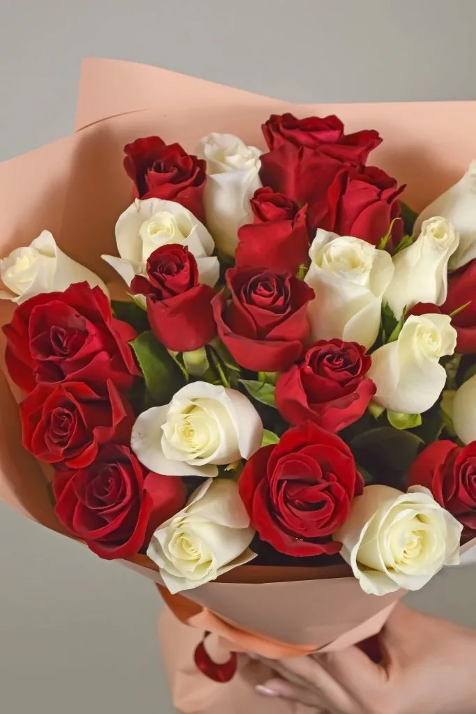 25 белых и красных роз