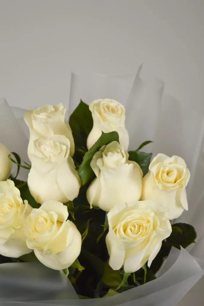 9 белых роз Эквадор