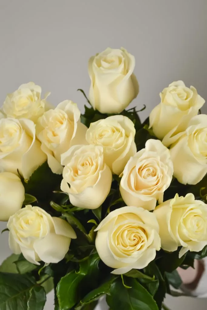 15 белых роз Эквадор