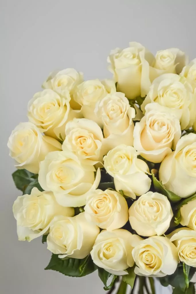 25 белых роз Эквадор