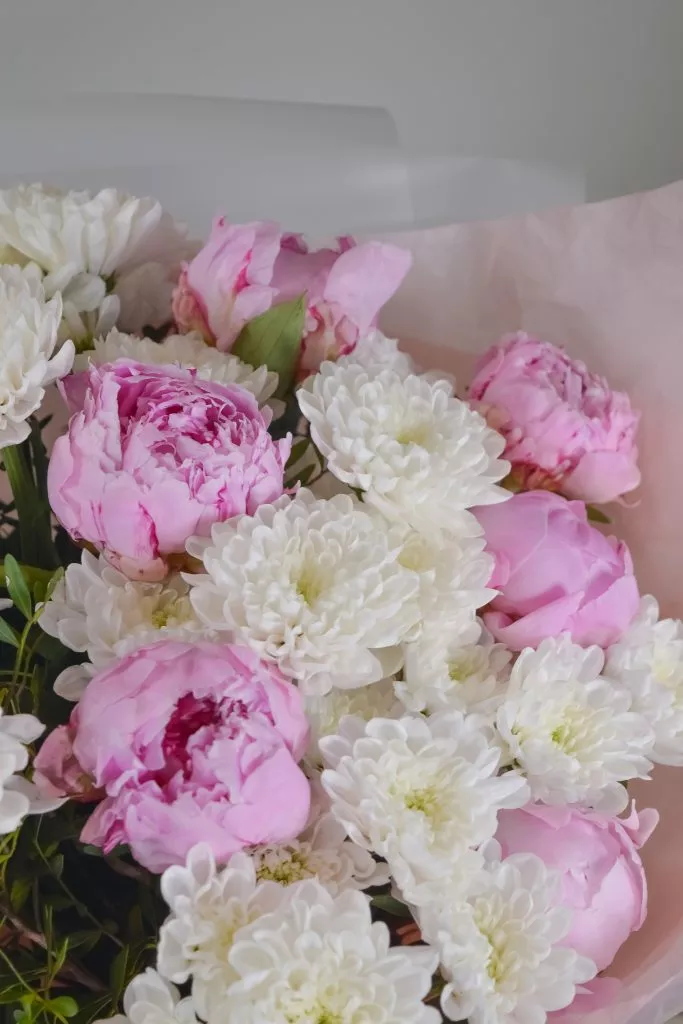 пионы 9 шт и хризантема 6 шт