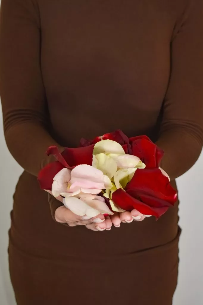 лепестки роз