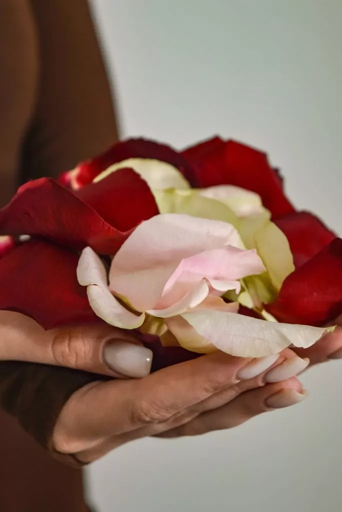 лепестки роз