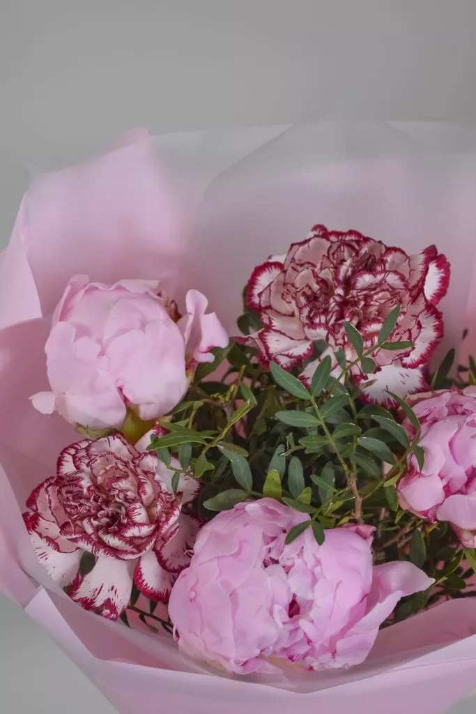 пионы и гвоздики