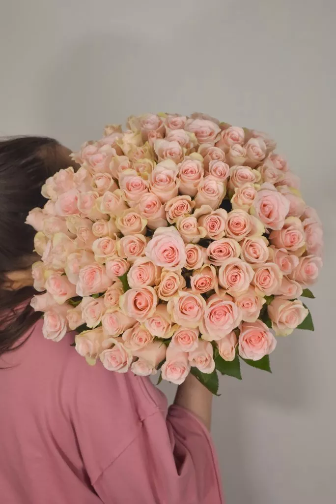 101 нежно-розовая роза (40 см)