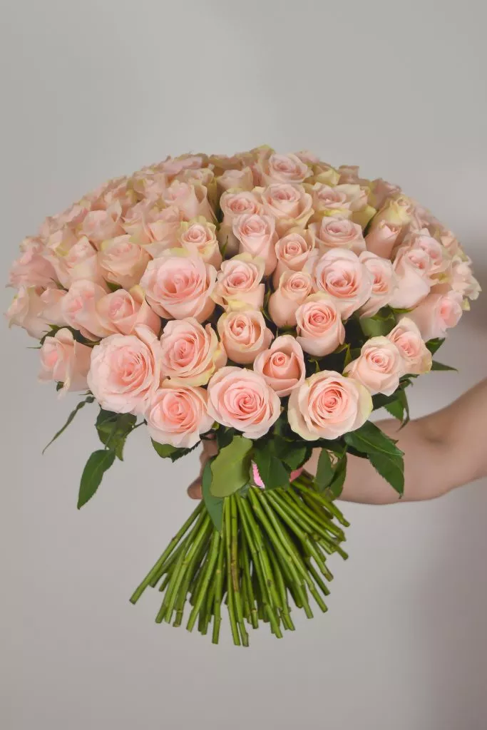 101 нежно-розовая роза (40 см)