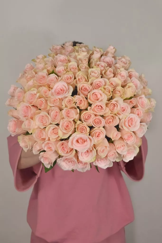 101 нежно-розовая роза (40 см)