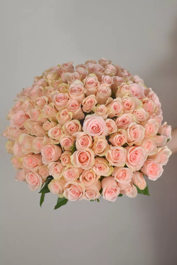 101 нежно-розовая роза (40 см)