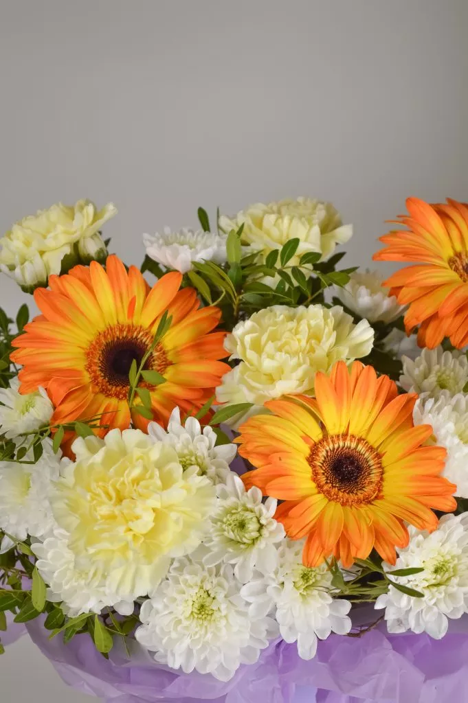 фиолетовая коробка с герберами и гвоздиками