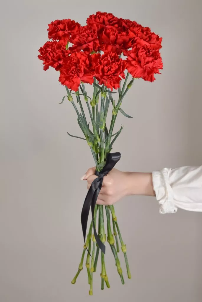10 красных гвоздик траурные цветы