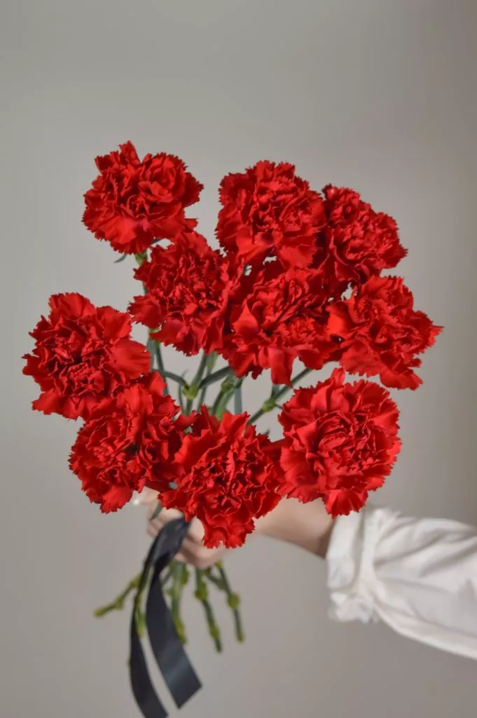 10 красных гвоздик траурные цветы