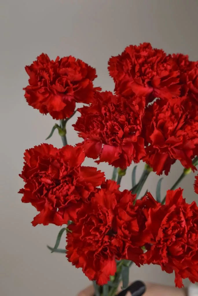 10 красных гвоздик траурные цветы