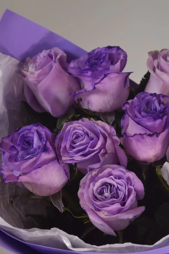 Роза 60 см фиолетового цвета 9шт в оформлении под ленту
