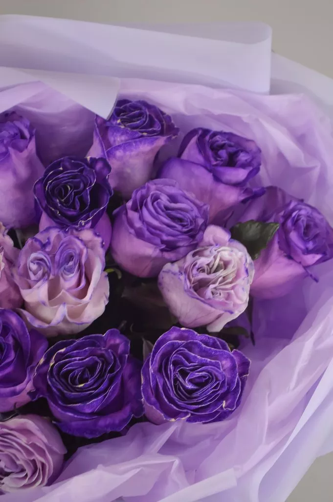 Роза 60 см фиолетового цвета 15шт в оформлении под ленту