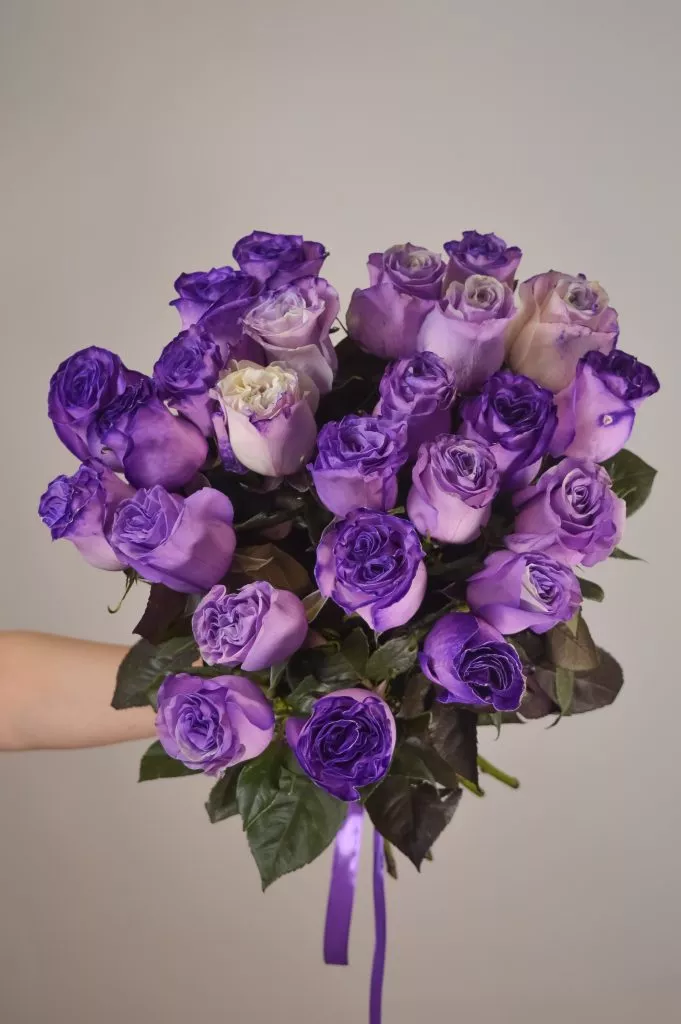 Роза 60 см фиолетового цвета 25шт под ленту