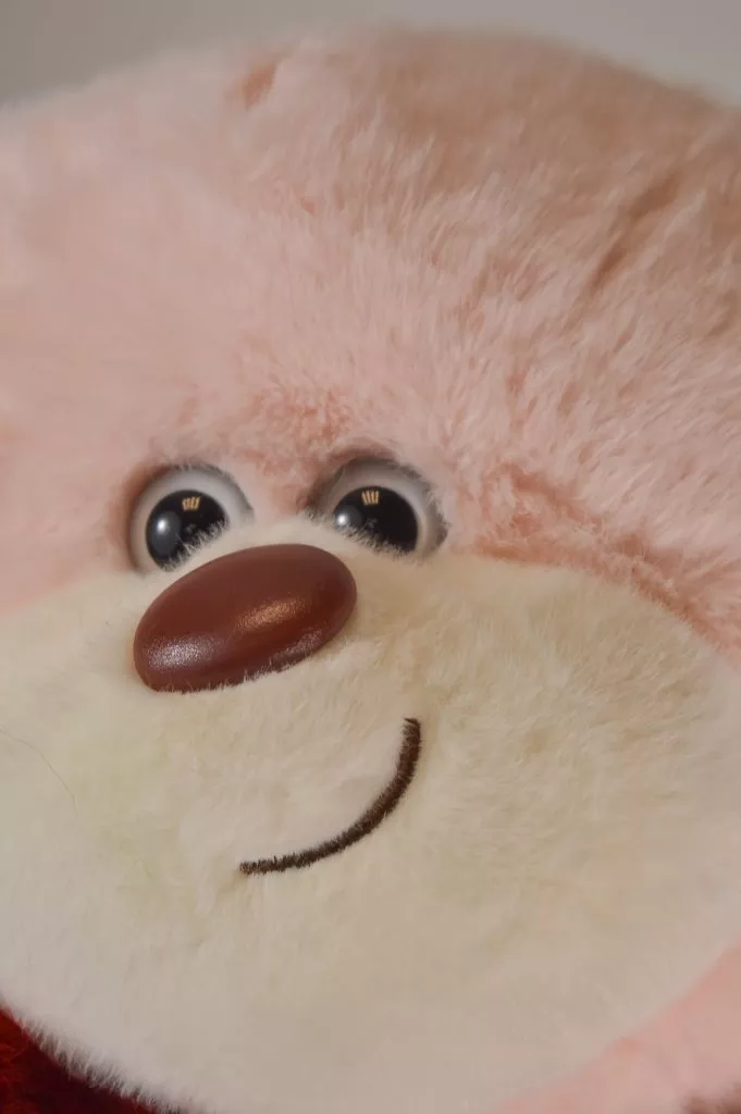 Мягкая игрушка Мишка с цветочком