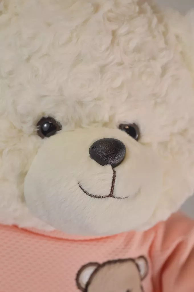 Мягкая игрушка Медвежонок