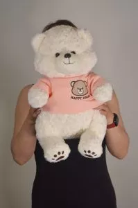 Мягкая игрушка Медвежонок