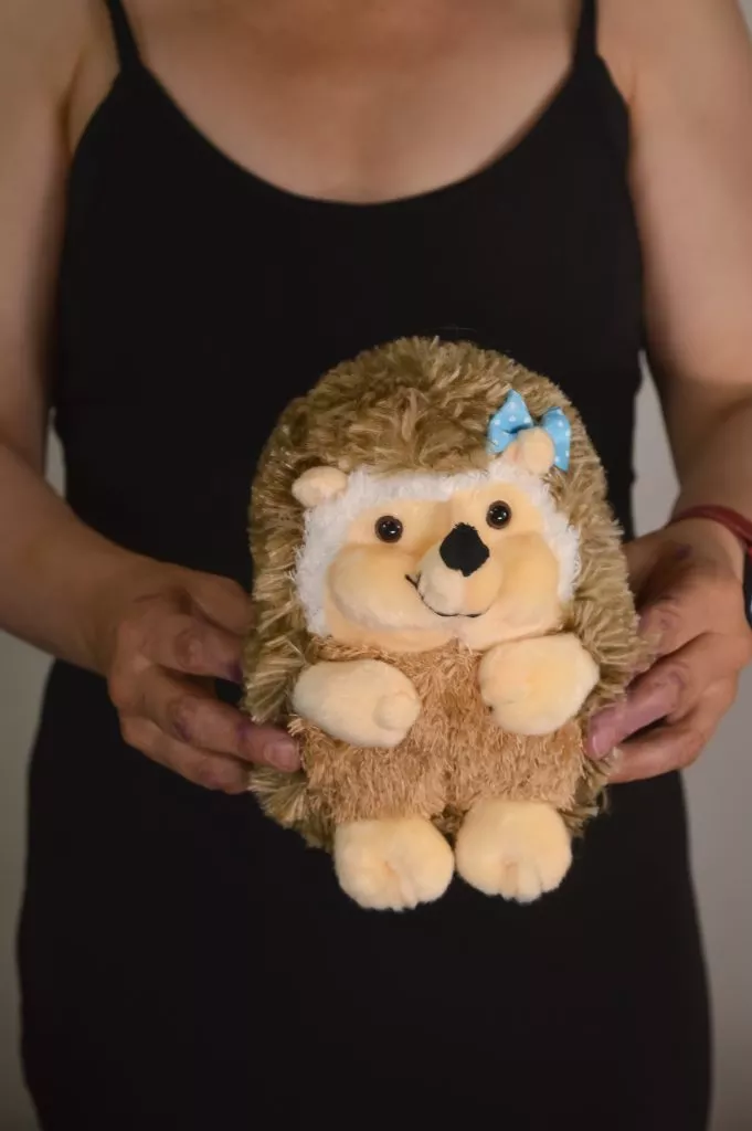 Мягкая игрушка Ёжик