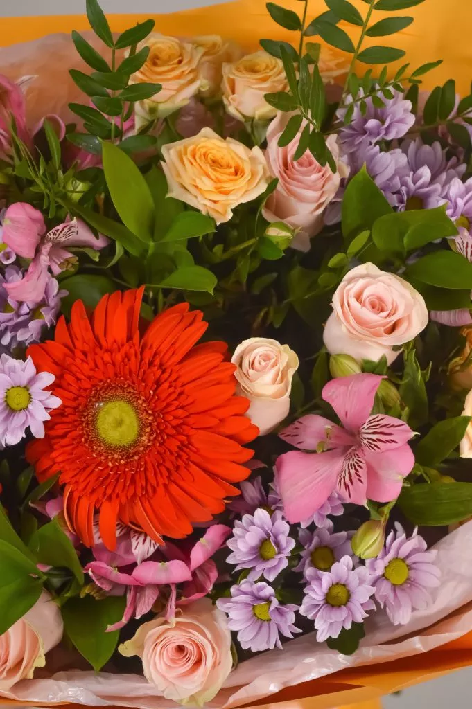 Сборный букет ,гербера 1шт ,хризанетама Сантини 2шт,роза кустовая кремовая 2шт,альстромерия 5шт,рускус 5шт,в оформлении под ленту