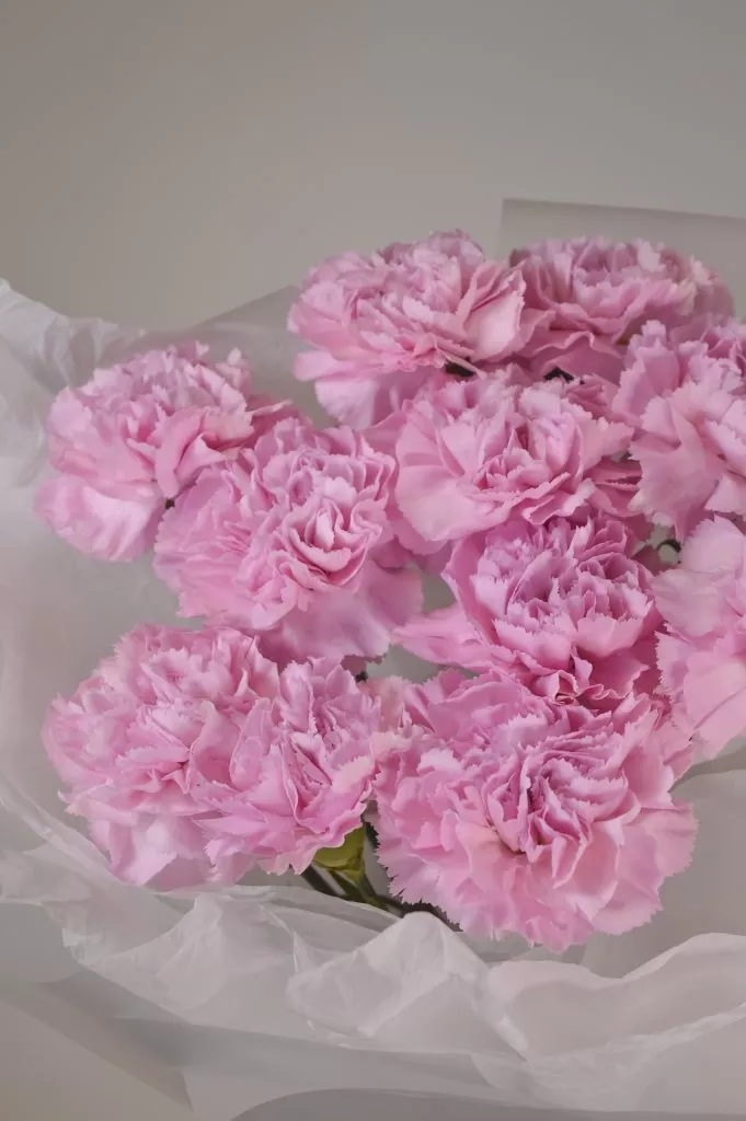 Букет из гвоздик розового цвета 9 шт в оформлении