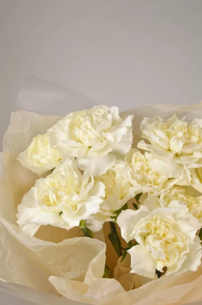 Букет из гвоздик белого цвета 9 шт в оформлении