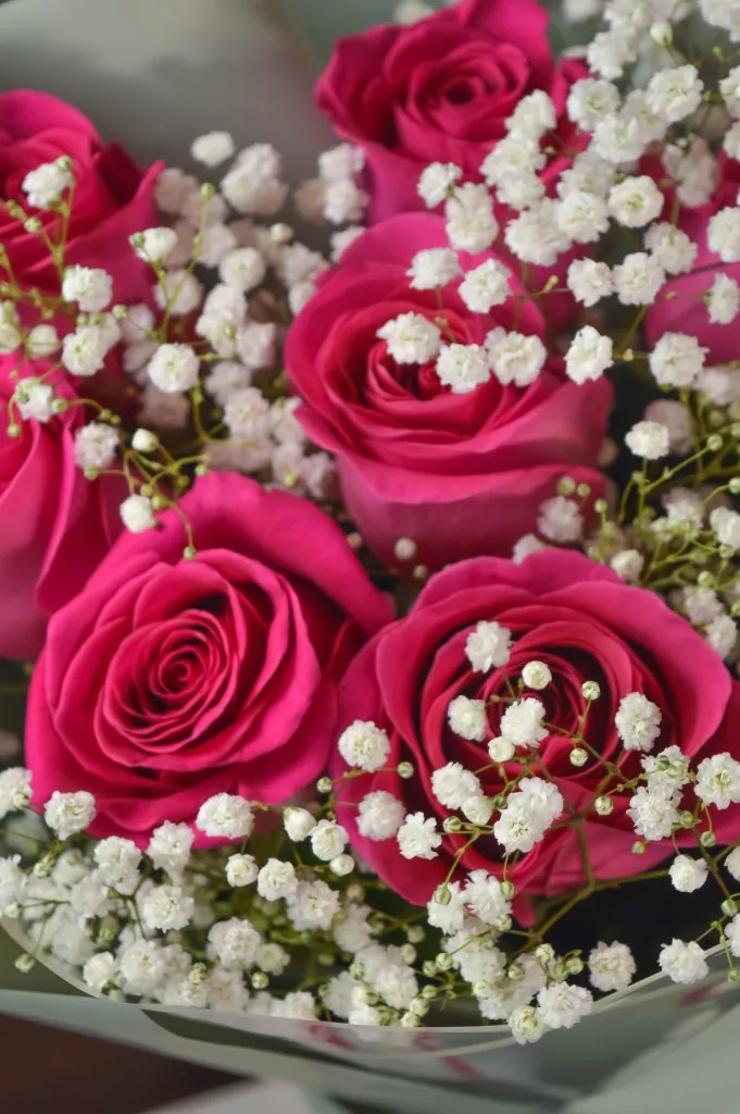 Букет из роз 60 см Фуксия 9шт ,гипсофила 1шт в оформлении