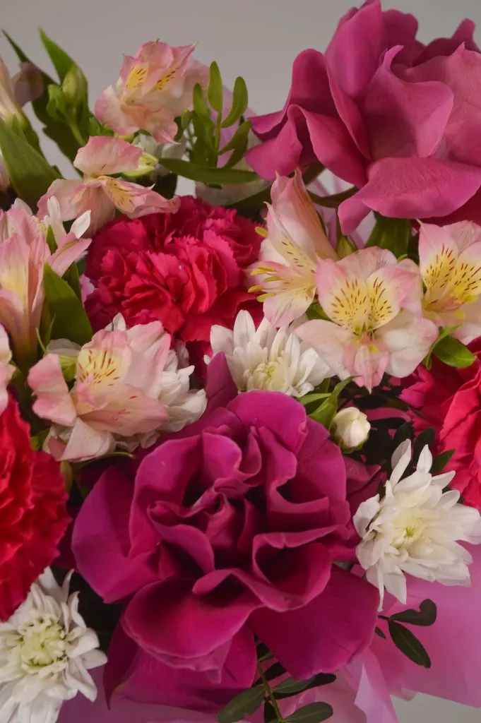 роза 60 см фуксия 3шт,гвоздика фуксия 3шт,фистшака 4шт,альстромерия кремовая 3шт в коробке с оформлением тишью