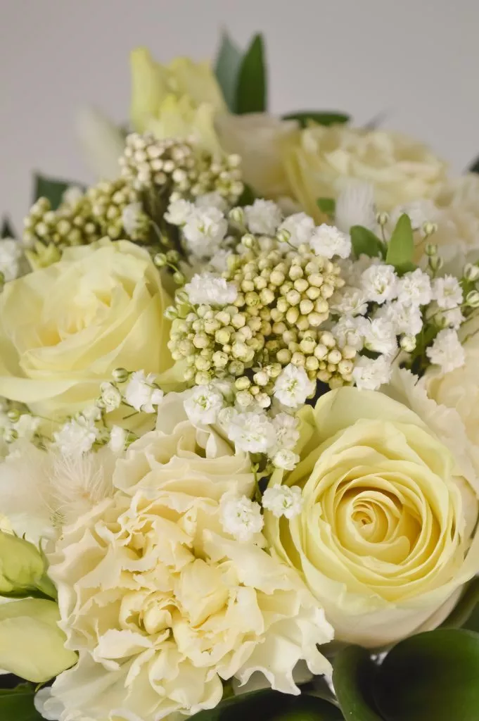 Роза 60 см белая 3шт ,озотамнус 3шт,рускус 9шт,гипсофила белая 2шт,гвоздика белая 5 под ленту