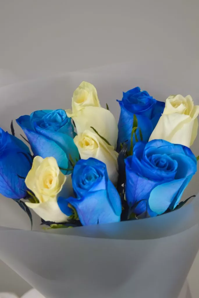 Роза 40 см 9шт синие,белые в оформлении под ленту