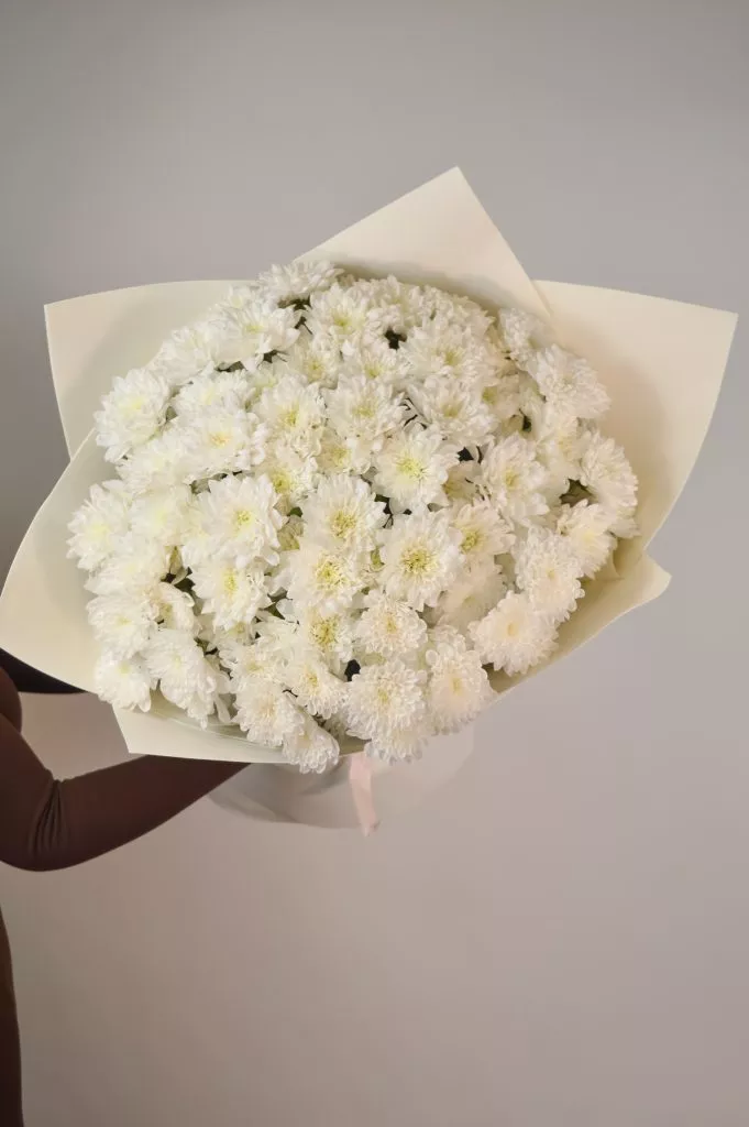 Букет из 15 кустовых хризантем в упаковке