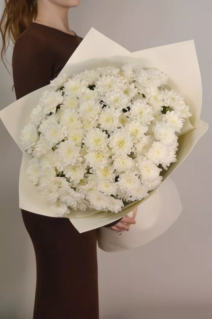 Букет из 15 кустовых хризантем в упаковке
