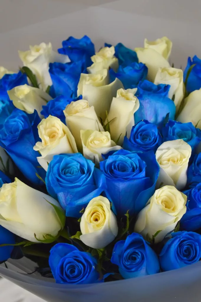Роза 40 см 51шт бело-синие в оформлении под ленту