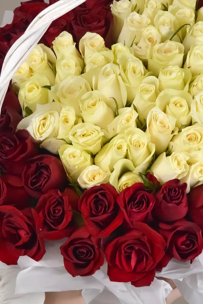 Корзина из роз 101шт 40см красно-белая в виде сердца.